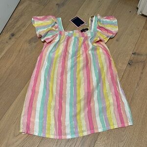 Rainbow Andy & Evan dress